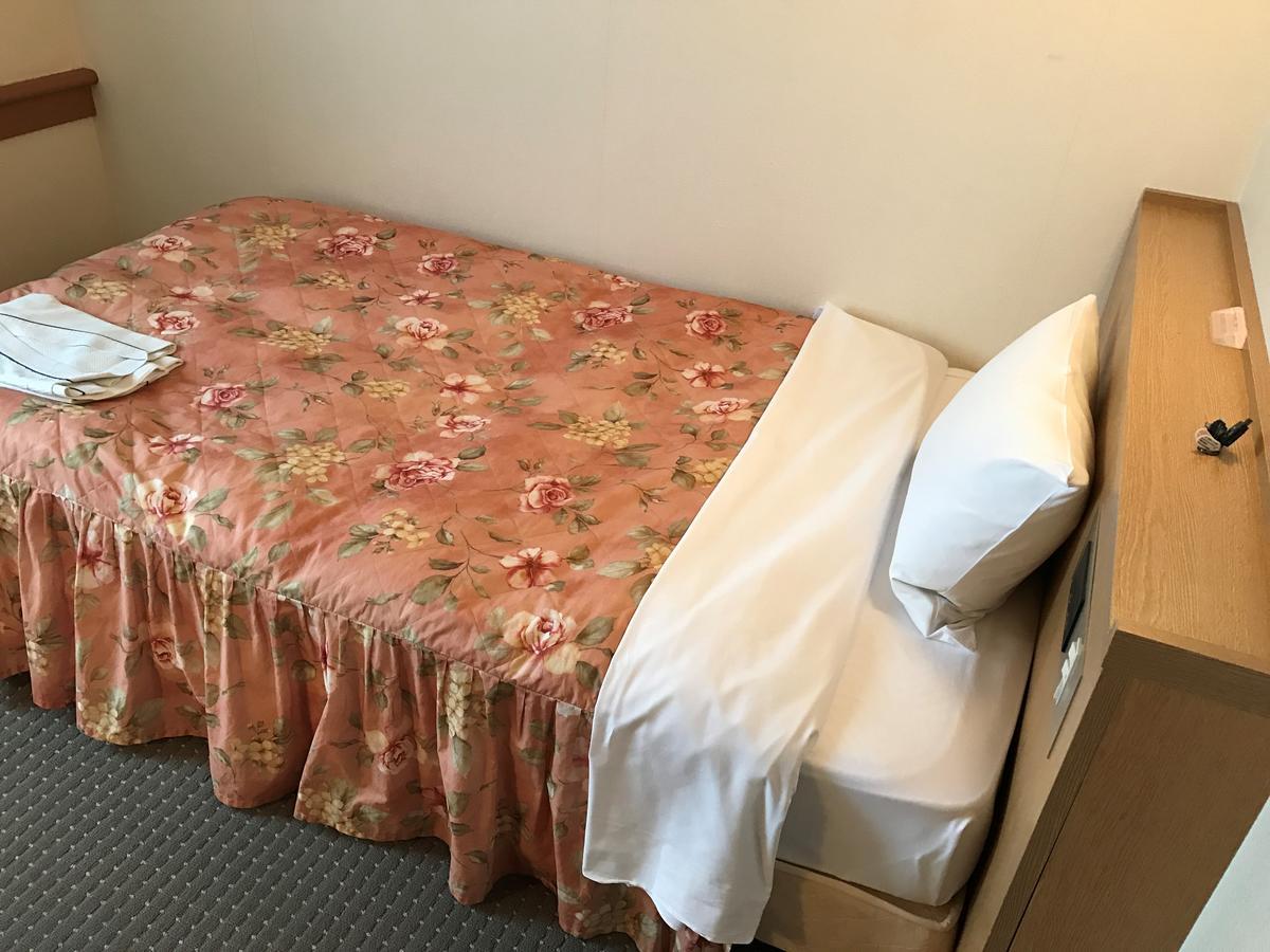 Shin Sayama Hotel Extérieur photo